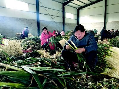 “扶贫车间”进乡村