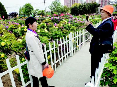 “双休日”再迎赏花客流“小高峰”