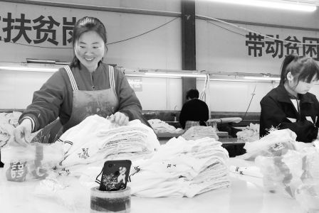 “归雁”引领小康路