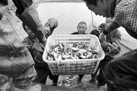 图片新闻