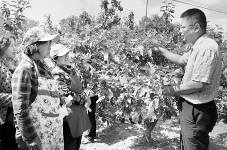 农林专家下乡“传经送宝”