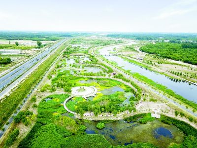 七里河湿地美如画-菏泽日报社