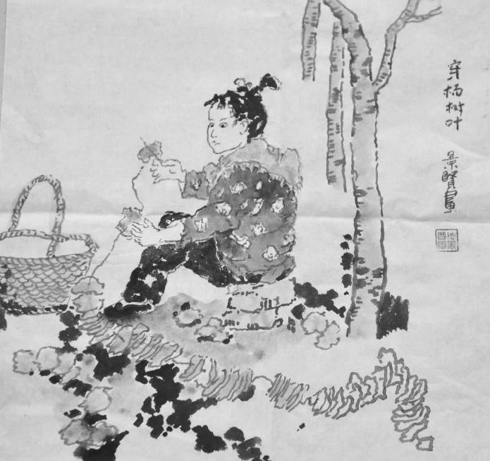穿杨叶