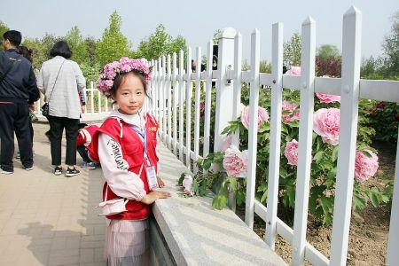 春色烂漫伴清明，踏青赏花正当时