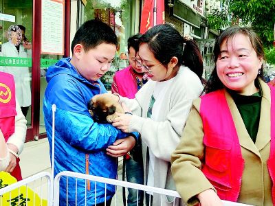 萌宠领养，不要让它们再流浪