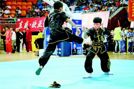 海峡两岸“武林高手”在菏“交手”