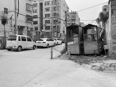 小区必经之路，杂草丛生垃圾成堆