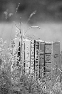 点击放大 世上没有不可用的人