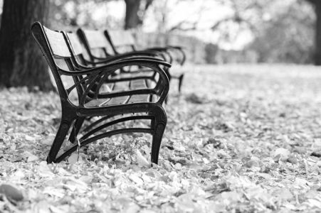 点击放大 风景不在别处