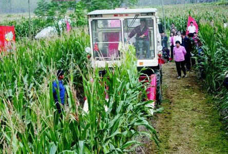 推进土地确权，保障农民权益