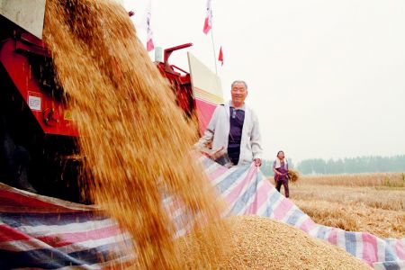 推进土地确权，保障农民权益